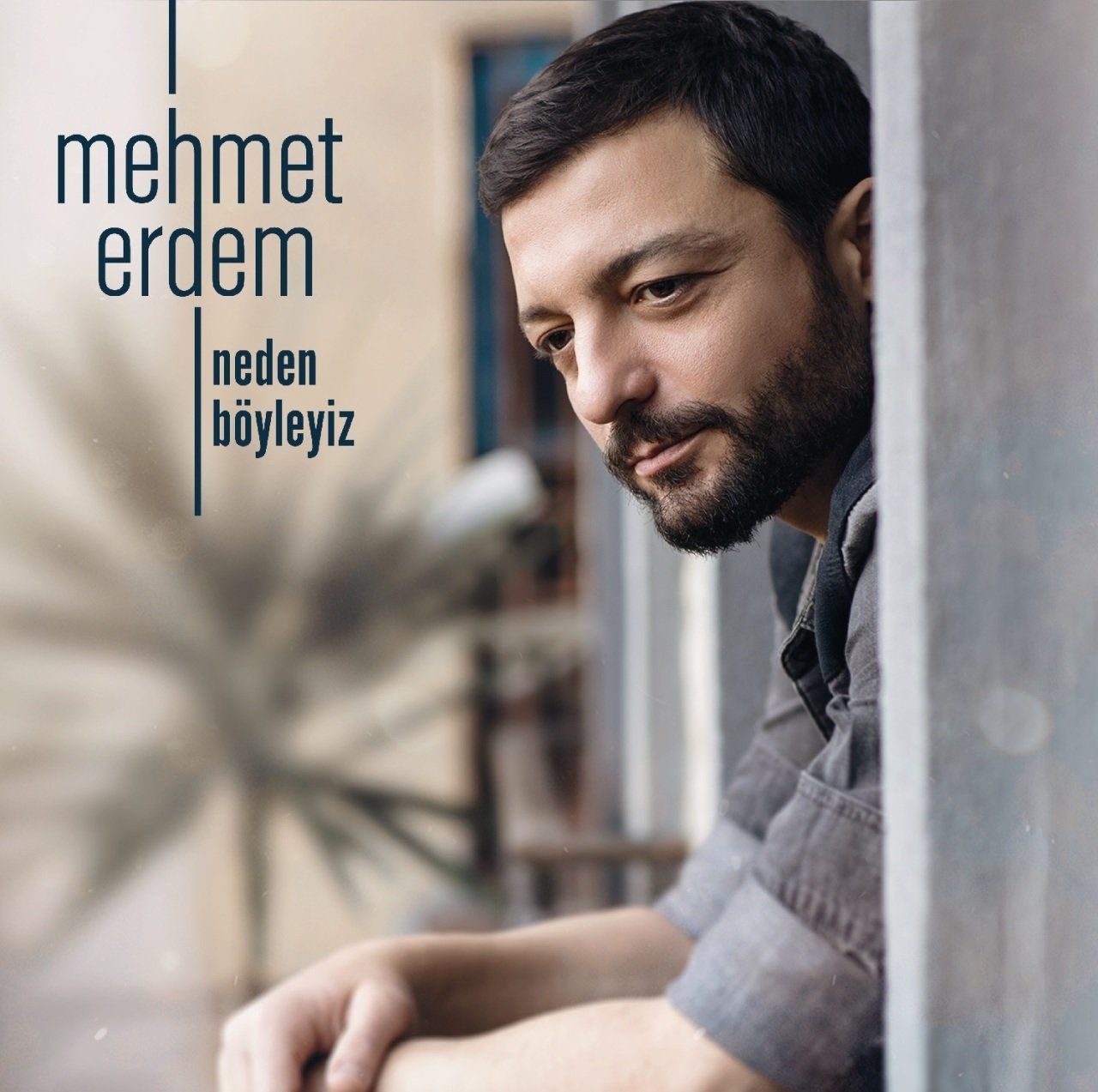 MEHMET ERDEM - NEDEN BÖYLEYİZ (LP) (TRANSPARAN BUZ)