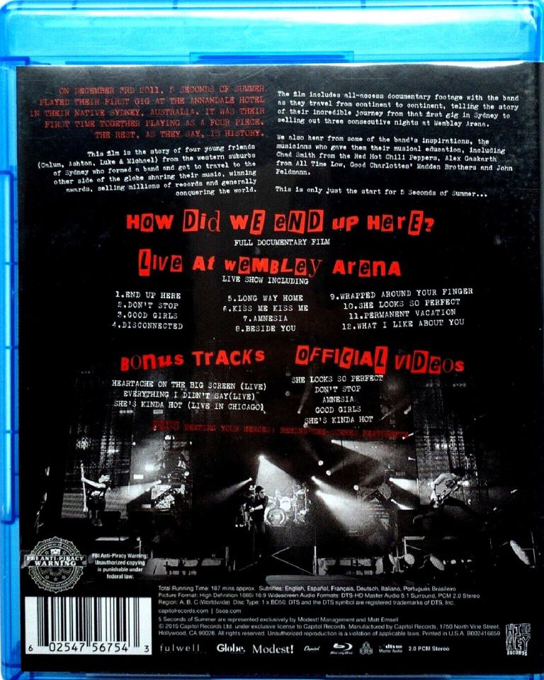 5 SECONDS OF SUMMER - HOW DID WE END UP HERE?