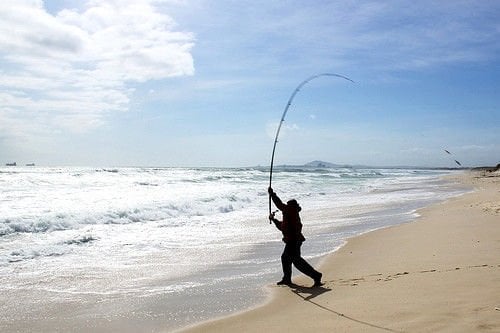 Surf Casting Avı Nedir ?