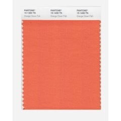 NYLON brights swatch card - SWCDTN