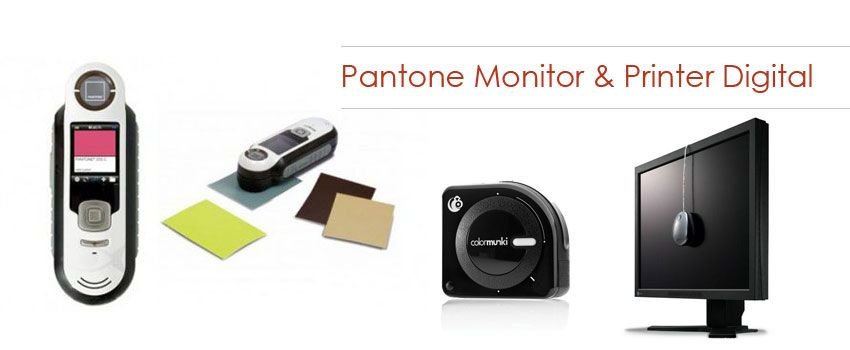 Pantone Monitör & Printer Dijital