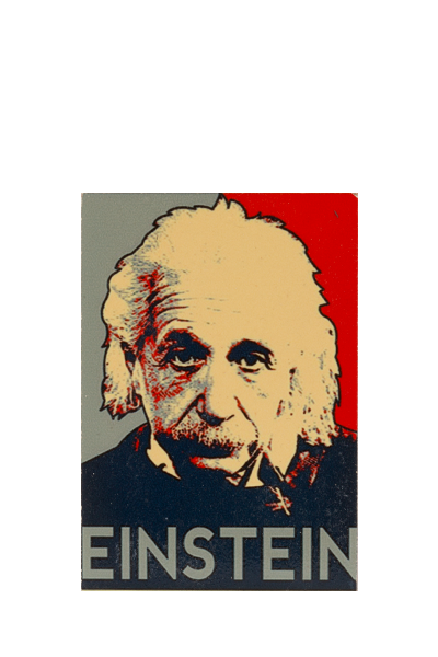 Einstein Buzdolabı Süsü