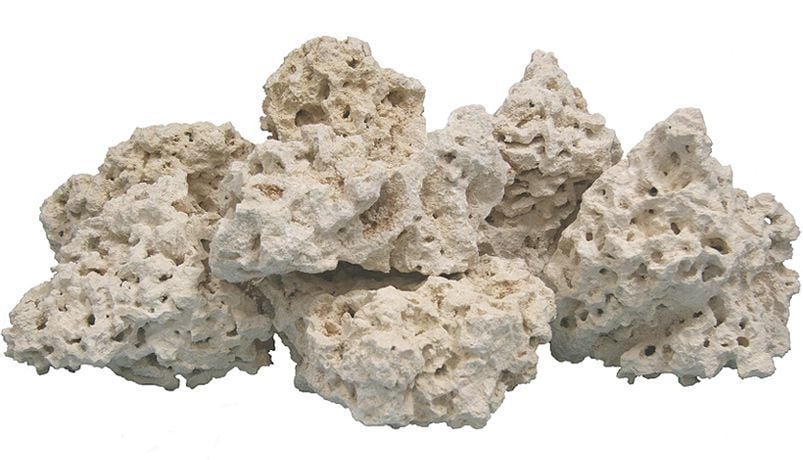 Natures Ocean - Natural Coral Reef Rock - Doğal Resif Kayası 1Kg Açık