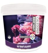 Caledonia Reef Salt 1kg Açık