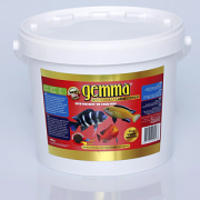 Gemma Best Formula Large Cichlid 100gr.Açık