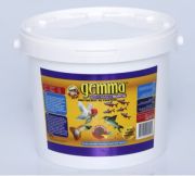 Gemma Best Formula Tropical 100gr Açık