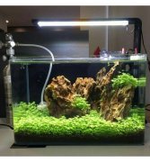 OrionLed AKVARYUM NANO LED AYDINLATMA ARMATÜRÜ 20cm