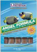 Ocean Nutrition Angel Formula 100gr 35adet