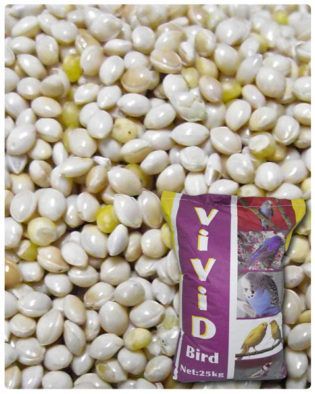 Vivid Ak Darı Çuval 20Kg.