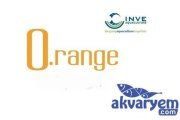 İnve O.RANGE Norse S 500-800 Mikron 100gr Açık