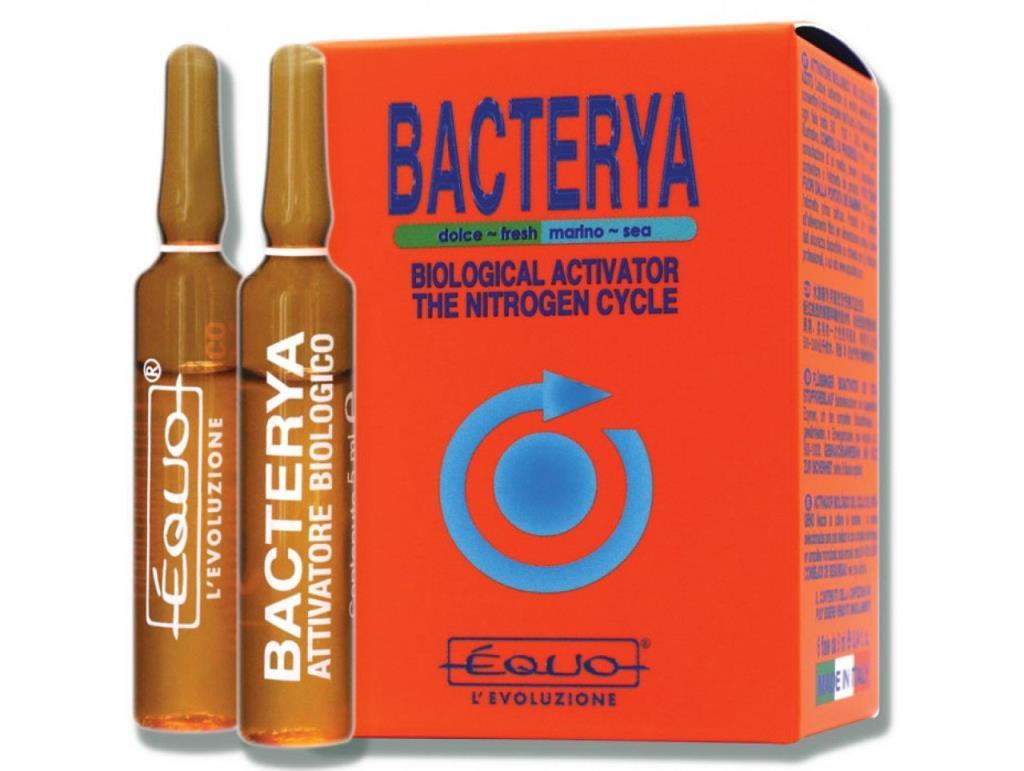 Equo Bacterya 24x5ml