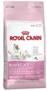 Royal Canin BabyCat 34 Yavru Kedi Maması 800gr