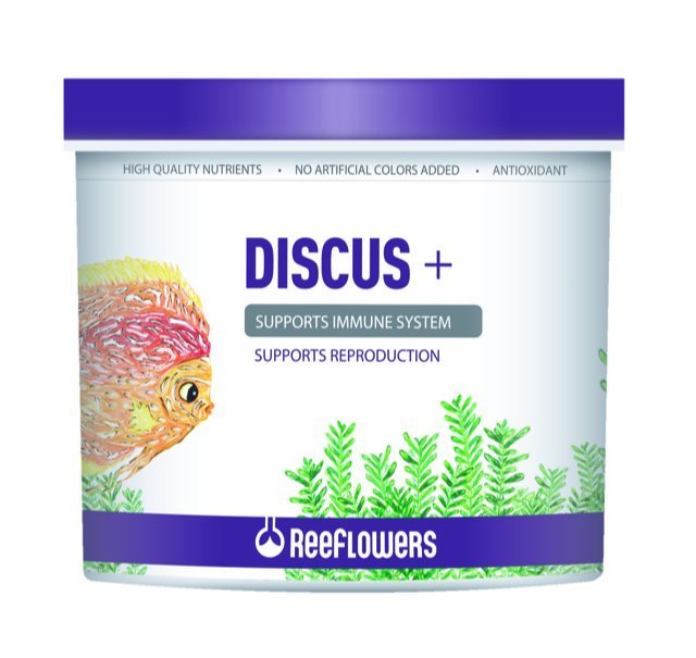 ReeFlowers Discus 100gr. Açık