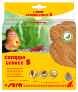 Sera Catappa Leaves 14cm S 10adet