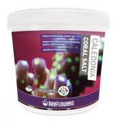 Reeflowers Caledonia Coral Salt 6,5kg