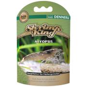 Dennerle Shrimp King Atyopsis 35gr.