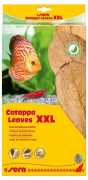 Sera Catappa Yaprağı XXL 32cm 10 Adet
