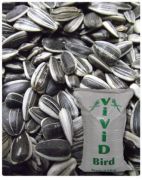 Vivid Küçük Çekirdek Tuzsuz 1Kg Praket