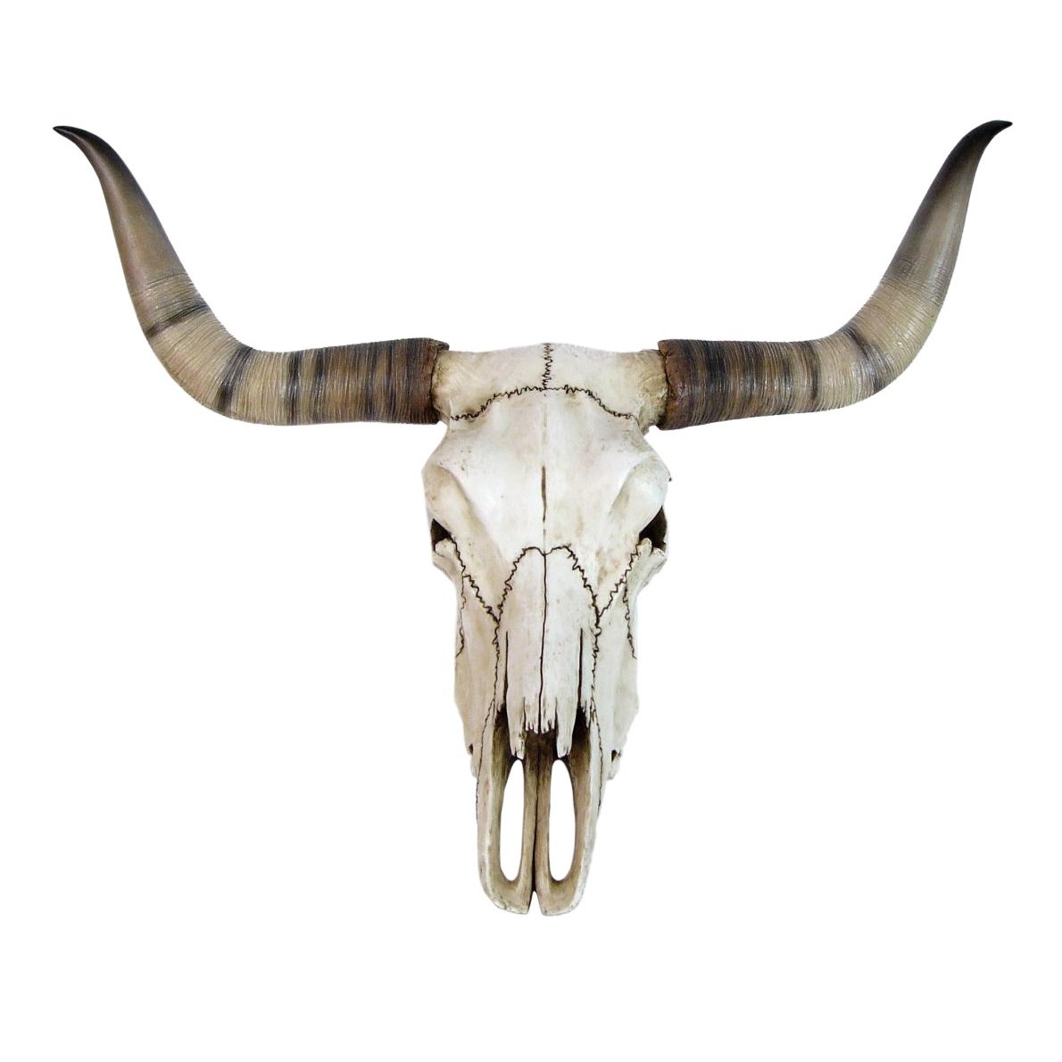Bufalo Kuru Kafası - Veronese Design