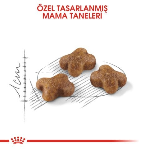 Royal Canin Kitten Tavuklu Yavru Kedi Maması