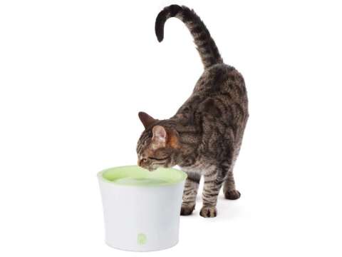Catit Kedi Köpek Otomatik Su Kabı 3 Litre 55600