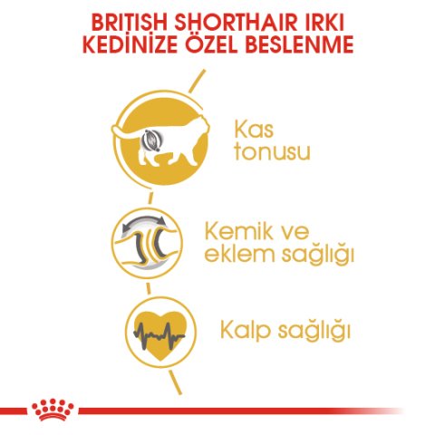 Royal Canin Adult British Shorthair 2 Kg