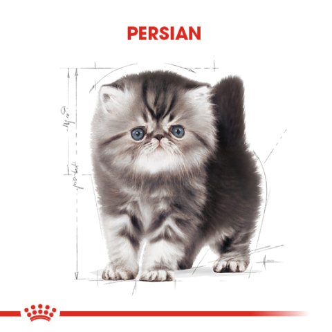 Royal Canin Kitten Persian 2 Kg