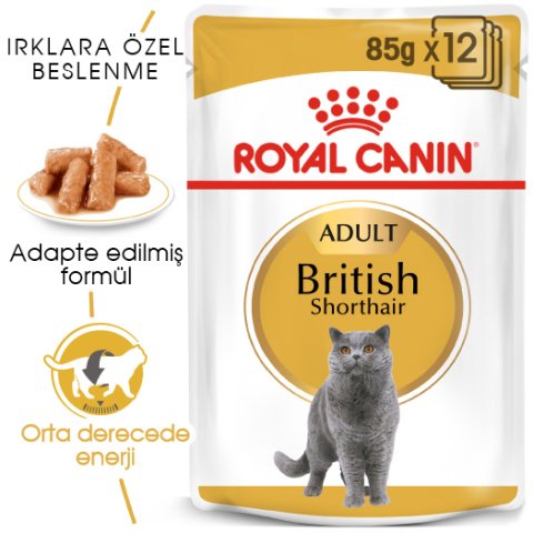 Royal Canin British Short Hair 85 Gr