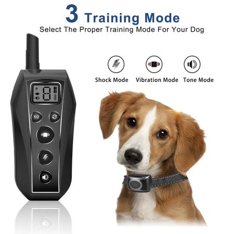 Köpek Eğitim Tasması Elektronik T700-1