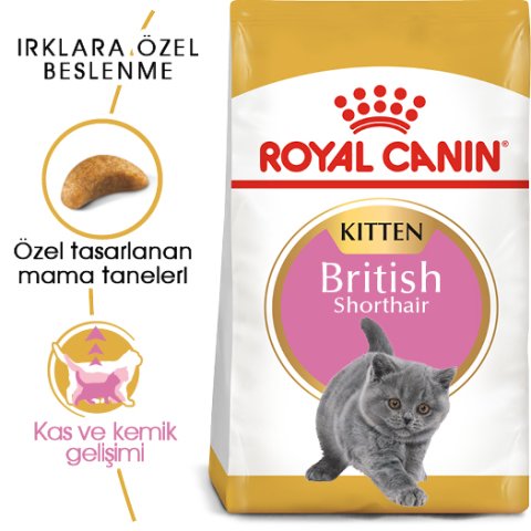 Royal Canin Kitten British Shorthair 2 Kg