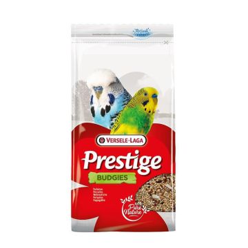 Versele Laga Prestige Muhabbet Kuşu Yemi 1 Kg