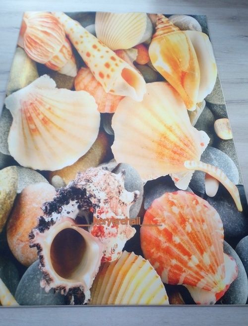 Foto Baskılı Halı Artist Deniz Kabuğu 120x180 CM