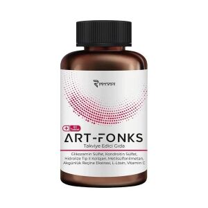 ART-FONKS 60 Tablet