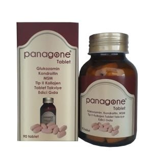 Panagone Glukozamin Kondroitin MSM Tip II Kollajen 90 Tablet