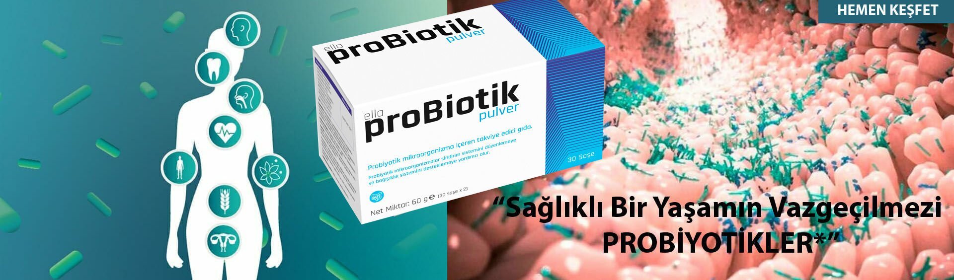 Probiyotik, Probiotic, Probiotik, Probiyotik Mikroorganizma