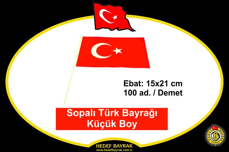 15x21 Sopalı Türk Bayrağı 100 lü