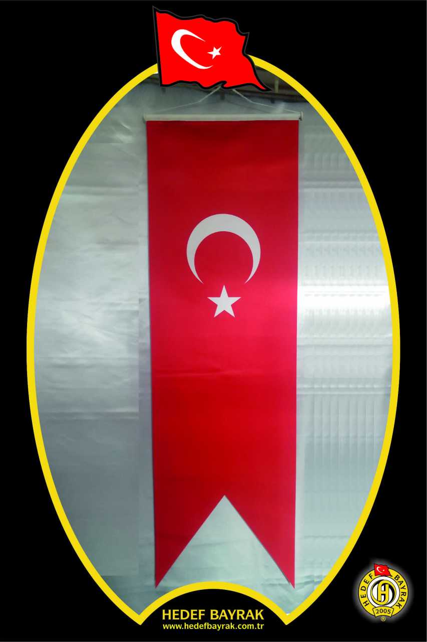 100x300 Türk Kırlangıç Flama