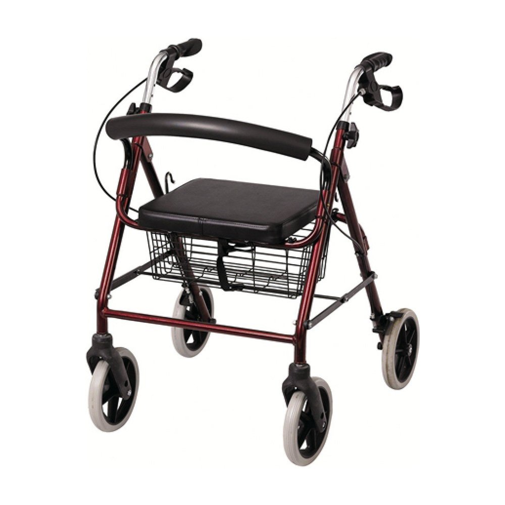 Poylin P580 Ekonomik Rollator