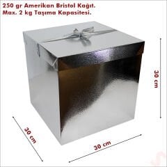 Kapaklı, Katlanır Demonte Karton Kutu, 30cm - Metalik Gümüş