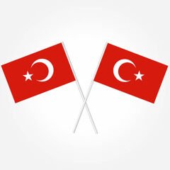 Türk Bayrağı Sopalı, 18cm x 12cm - 10 Adet