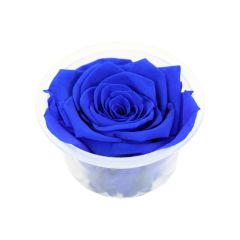 Şoklanmış Solmayan Gül, 5 cm - Lacivert