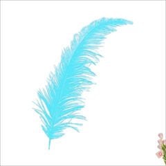 Şeffaf Balon İçi Kuş Tüyü, 100 Adet - Mavi