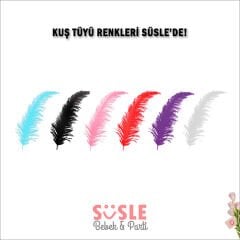 Şeffaf Balon İçi Kuş Tüyü, 100 Adet - Mavi