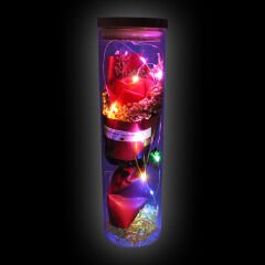 Gül ve Kuru Çiçek Buketli Led Işıklı 23cm x 7cm Cam Fanus, Kırmızı