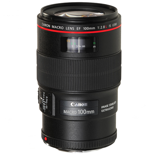 Canon EF 100mm f/2.8L IS USM Macro Lens