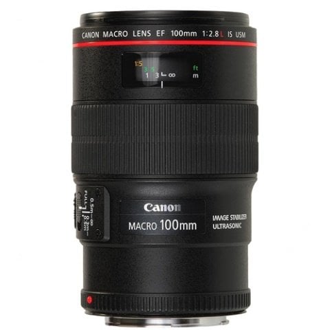 Canon EF 100mm f/2.8L IS USM Macro Lens