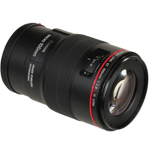 Canon EF 100mm f/2.8L IS USM Macro Lens