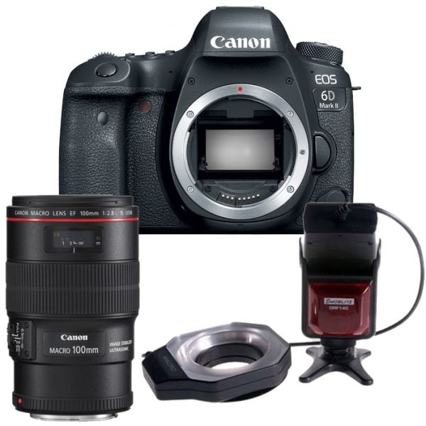 Canon EOS 6D Mark II + 100mm F/2.8 Lens + Macro Ring Flaş Kit