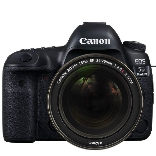 Canon EOS 5D Mark IV + 24-70mm f/2.8L II USM Lens Kit