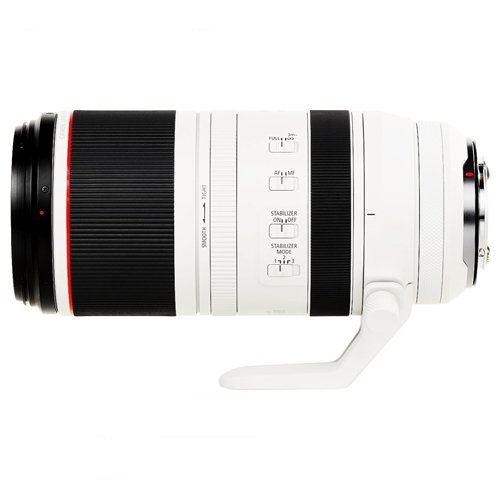 Canon RF 100-500mm f / 4.5-7.1L IS USM Lens